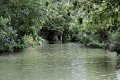 (30) Le Marais Poitevin